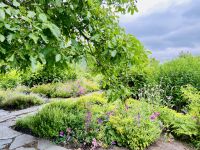 Göta Kanal Kreuzfahrt - Kräutergarten in Stegeborg