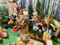 Göta Kanal Kreuzfahrt- Motola Motor Museum