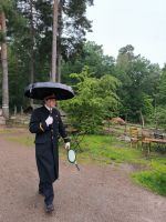 Schweden. Gamla Linköping