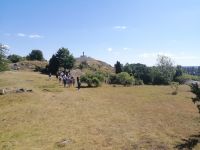 Führung durch das Wikingerdorf Birka