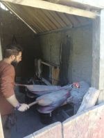 Führung durch das Wikingerdorf Birka