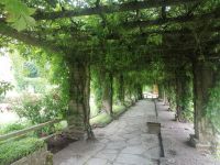 Besichtigung der Klosterruinen des Klosters Vreta