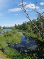 Billströmmen und Spetsnäskanal