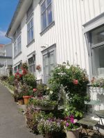 Gemeinsamer Spaziergang durch Marstrand