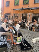 Schweden. Stockholm. Piano unter Kastanien