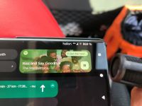 Schweden. Busfahrer Mickes Abschiedsmusik für uns