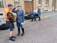 Schweden. Stockholm. Am Rand der Wachablösung