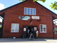 Schweden. Trosa. Bestes Eis