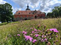 Schweden. Schloss Gripsholm