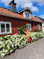 Schweden. Trosa. Falunrotes Haus