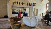 Kreuzfahrt Götakanal - Besuch in Vadstena mit Schlossführung