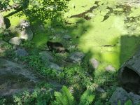 Freilichtmuseum Skansen 