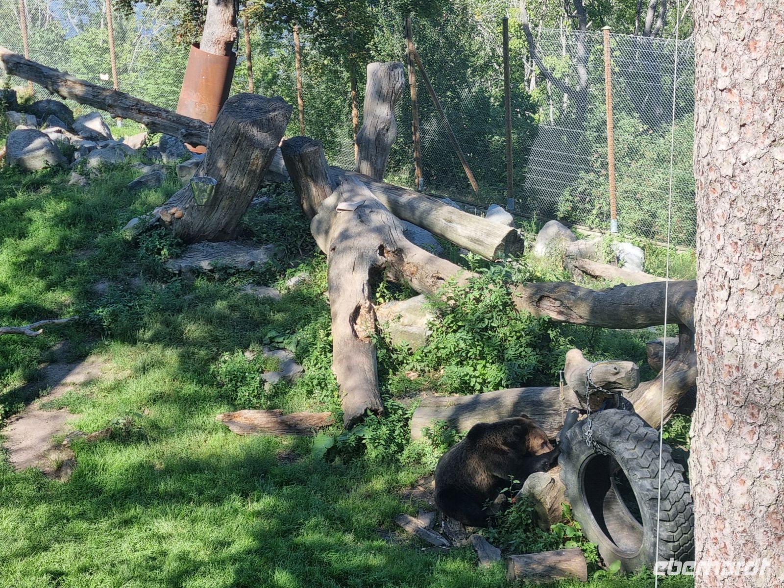 Freilichtmuseum Skansen 