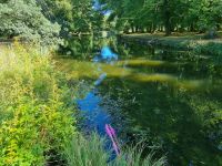 Drottningholm - Englischer Garten