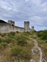 Tag 7 - Stadtmauer Visby