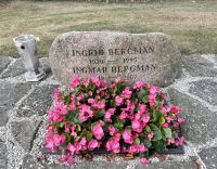 Tag 8 - Grab von Ingmar Bergman