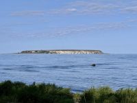 Tag 9 - Blick auf Lilla Karlsö