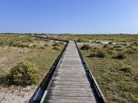 Tag 10 - Stora Alvaret