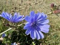 Tag 10 - Stora Alvaret