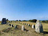 Tag 10 - Gräberfeld Gettlinge