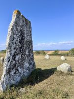 Tag 10 - Gräberfeld Gettlinge