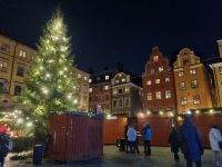 Weihnachtlicher Spaziergang durch Stockholm - Stortorget in der Altstadt (Gamla stan)