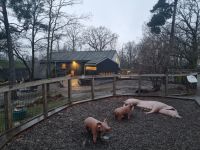 Freilichtmuseum Skansen  