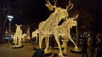 Silvesterreise Stockholm - Elche am Nybroplan