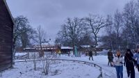 Silvesterreise Stockholm - Rundgang im Skansen