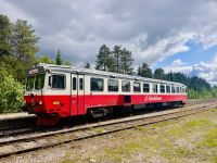 Tag 5 - Fahrt mit der Inlandsbahn