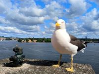 Karlsson und Jonathan. Stockholm© Heike