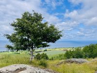 Tag 11 - Vätternsee 