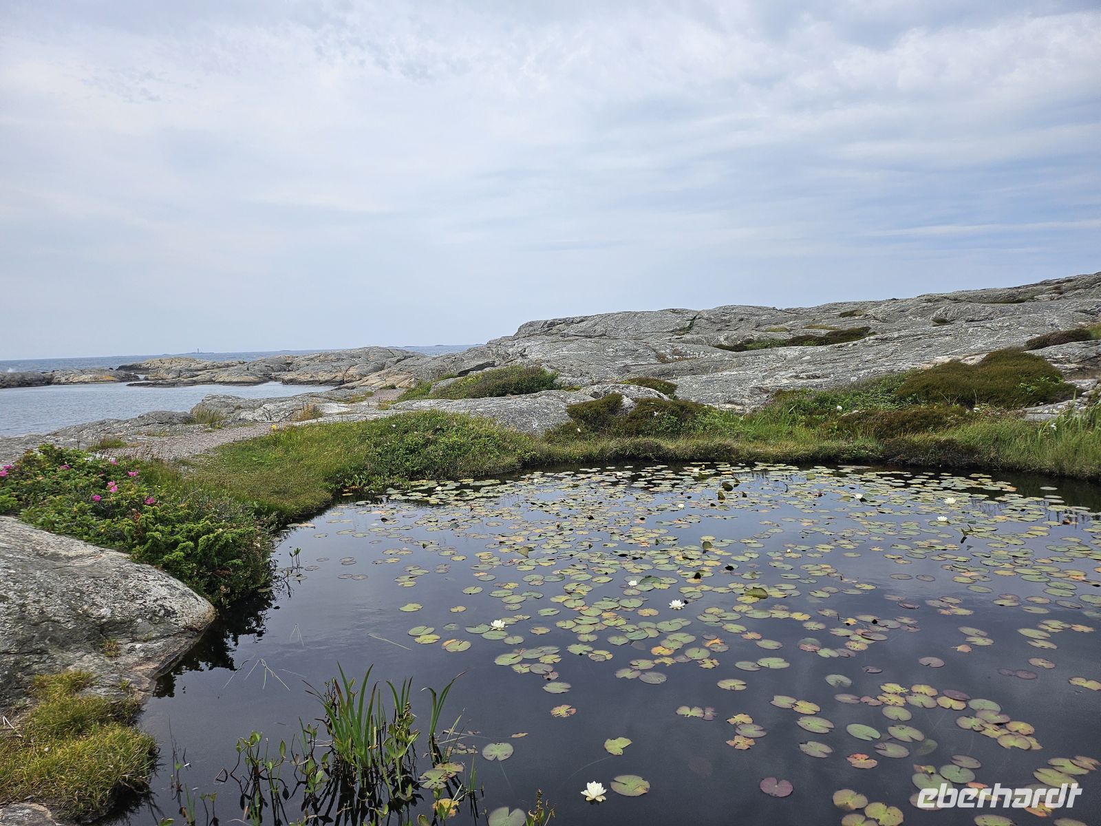 Einmal um die Insel 3