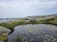 Einmal um die Insel 3