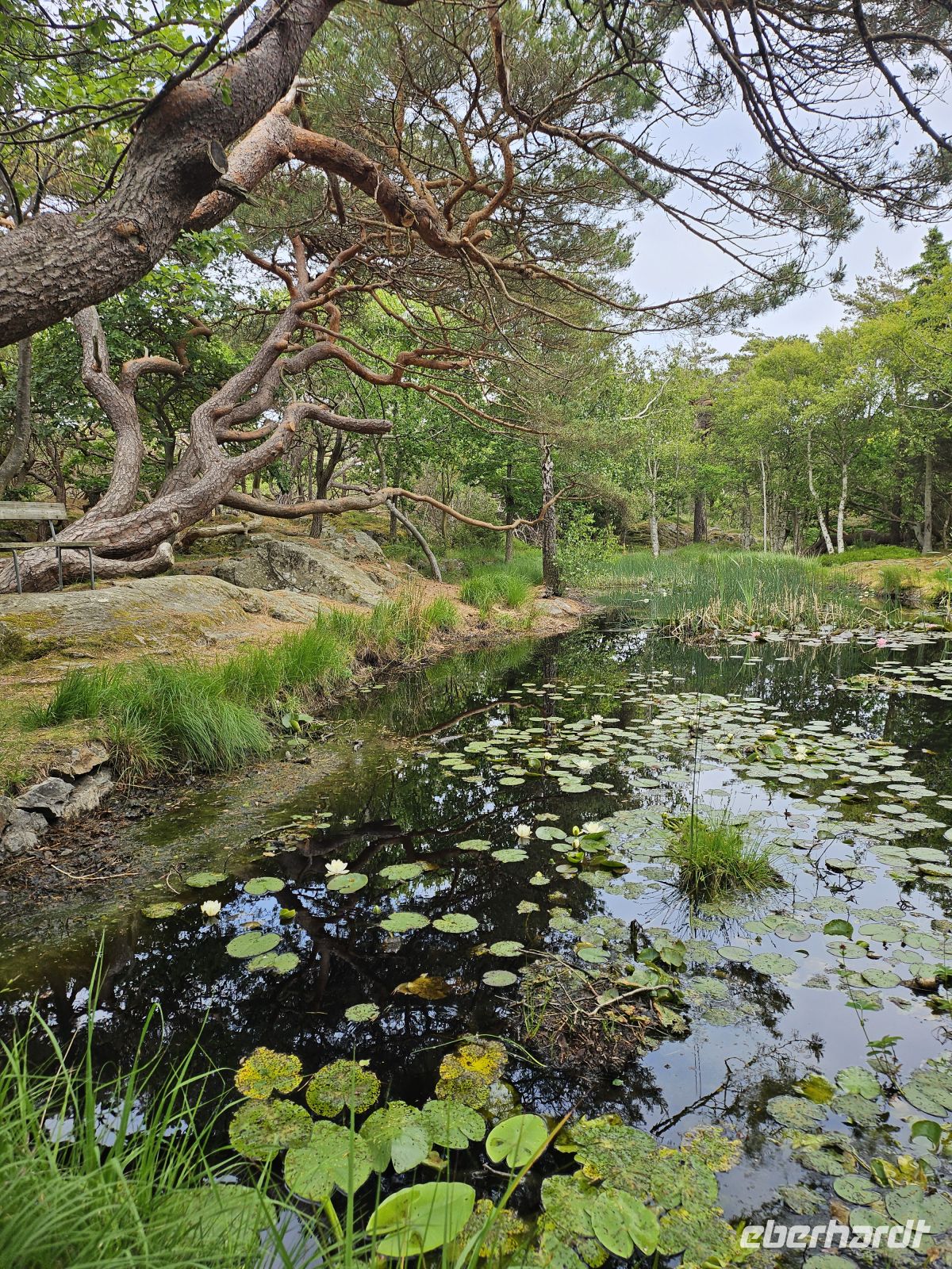 Einmal um die Insel 4