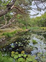 Einmal um die Insel 4