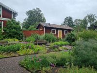 Freilichtmuseum Skansen - Kräutergarten