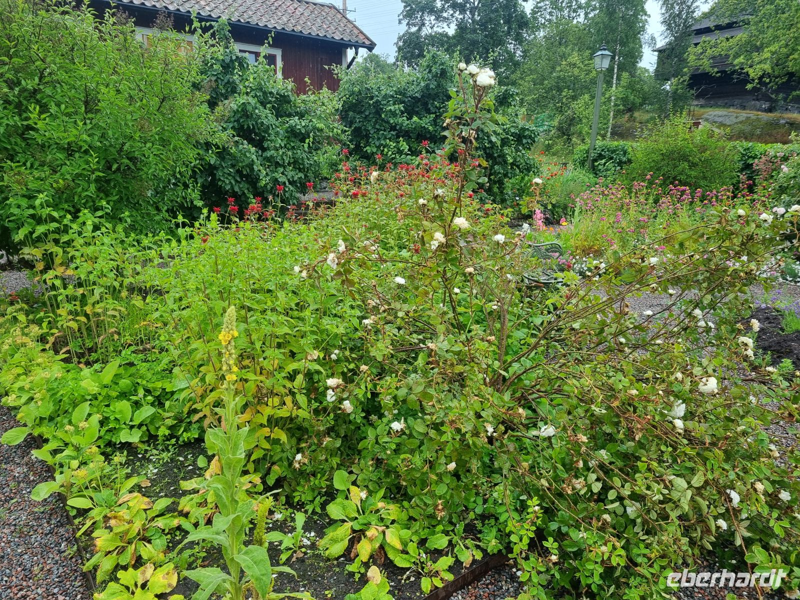 Freilichtmuseum Skansen - Kräutergarten