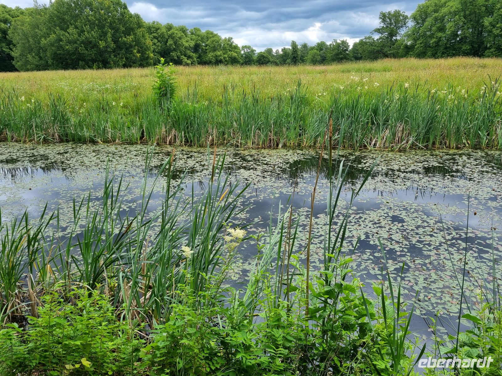 Drottningholm - Schlosspark 