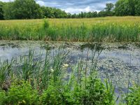 Drottningholm - Schlosspark 