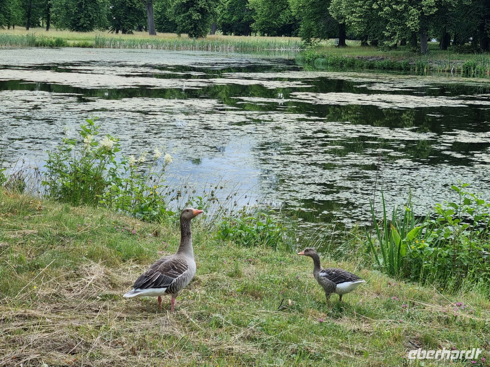 Drottningholm - Schlosspark 