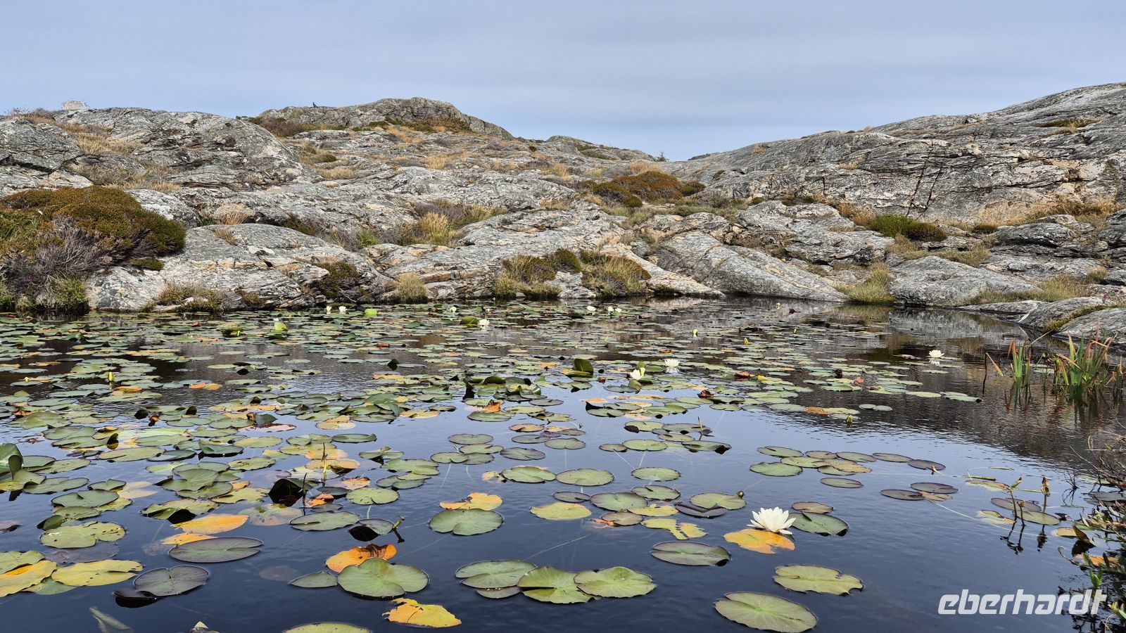 Rundwanderung auf Marstrand