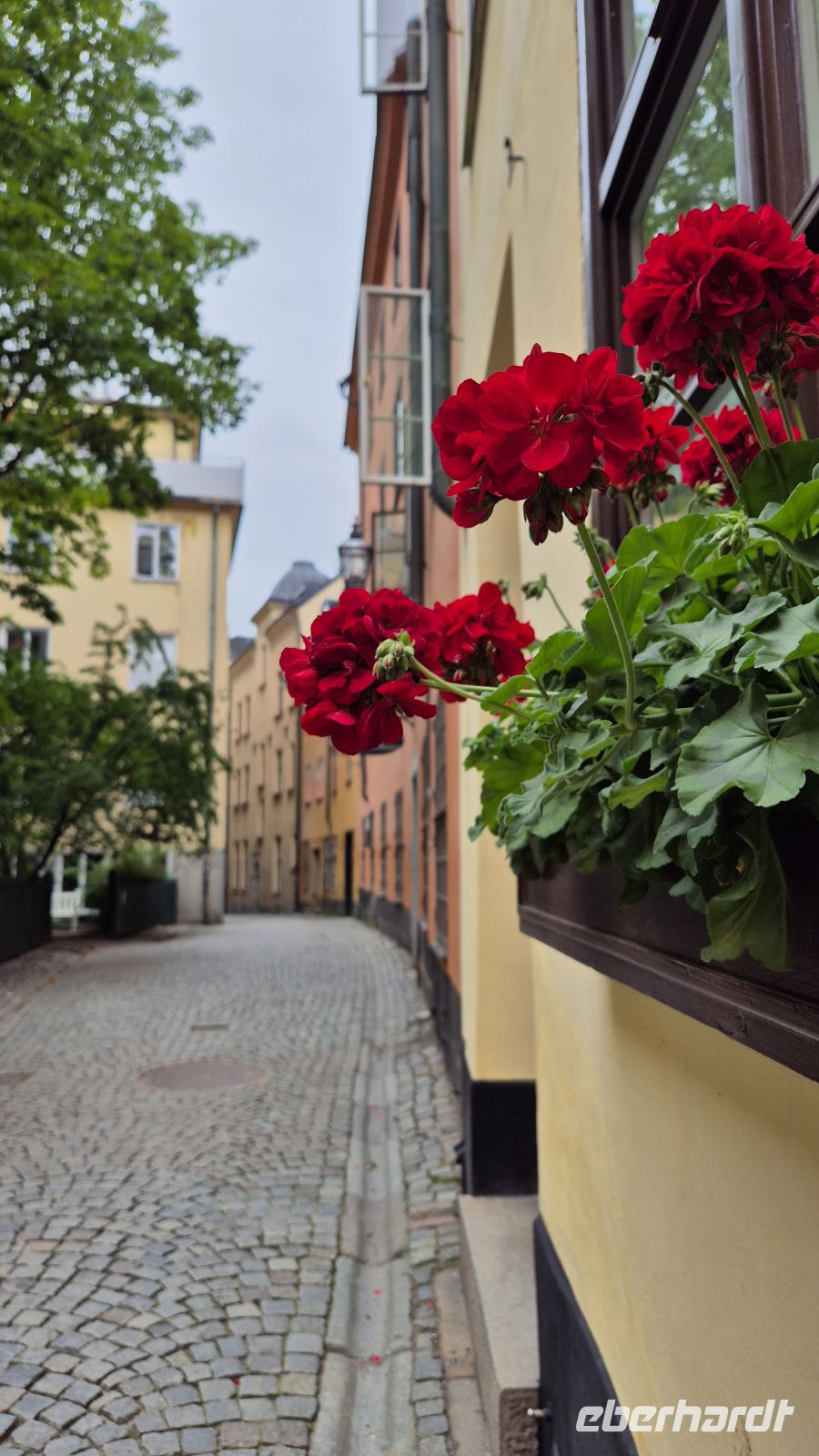 Stockholm: Altstadt