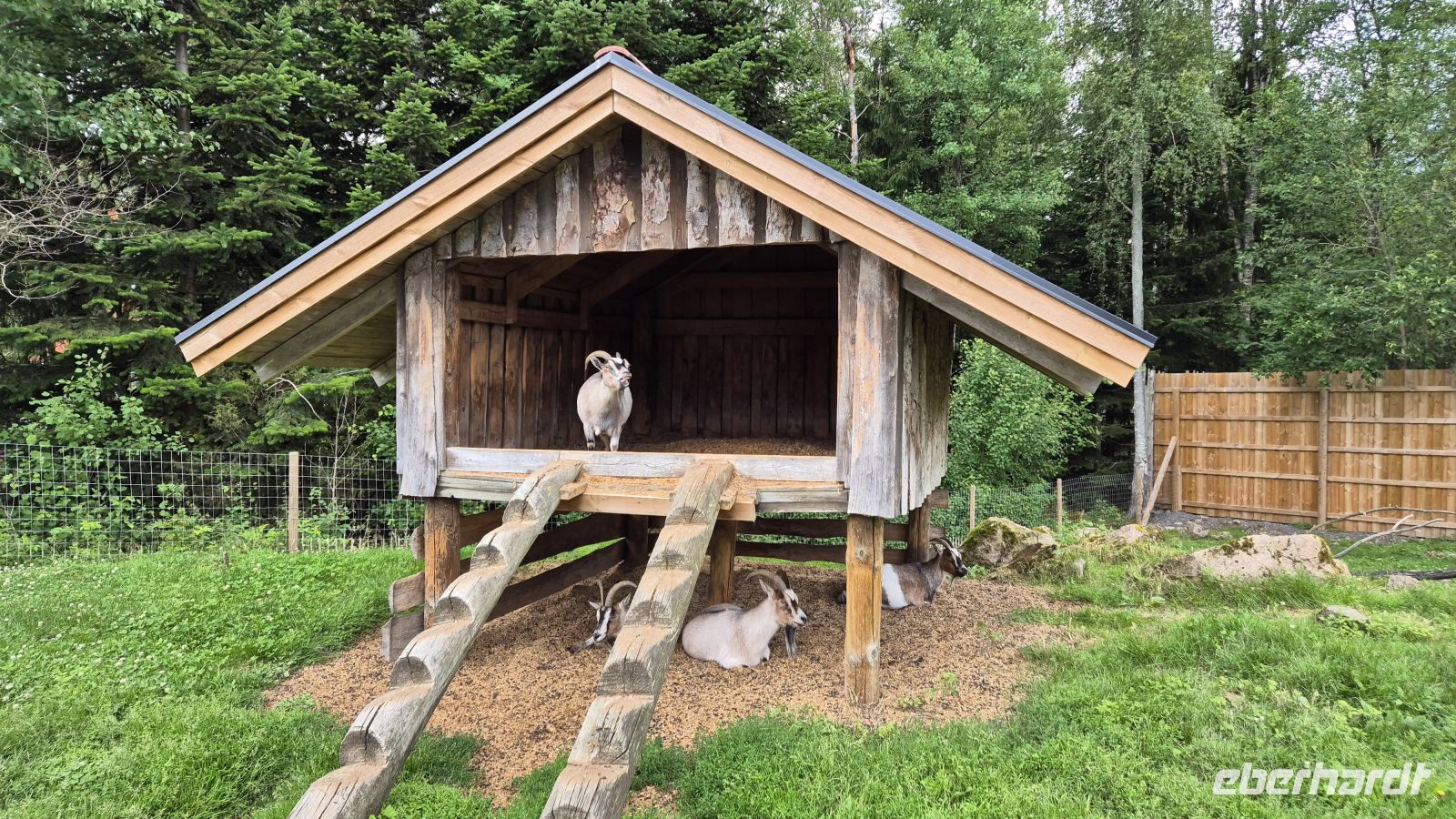 Grönåsens Elchpark