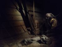 Vasa Schiff wird entdeckt 