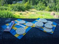 Picknick im Skansen 