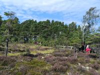 Store Mosse Nationalpark 