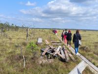 Store Mosse Nationalpark 