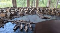 Wikingersiedlung Birka Hafenmodell.jpg