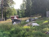 Farm Gamla Linköping 